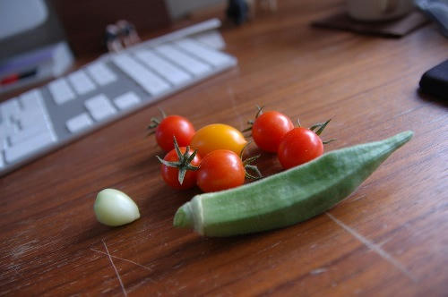 ベランダ菜園 