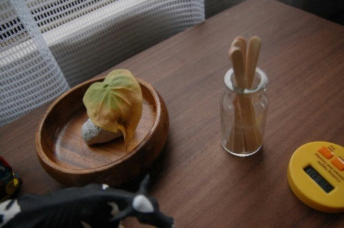 ベランダ菜園 