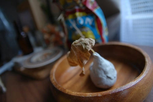 ベランダ菜園 