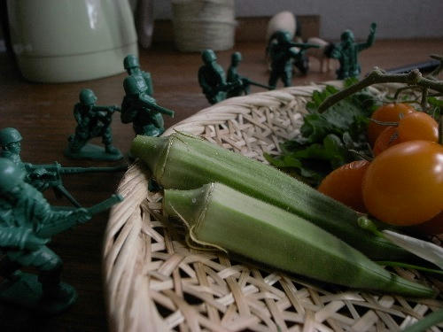 ベランダ菜園 