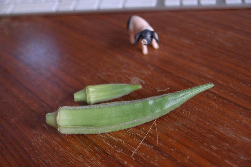 ベランダ菜園 