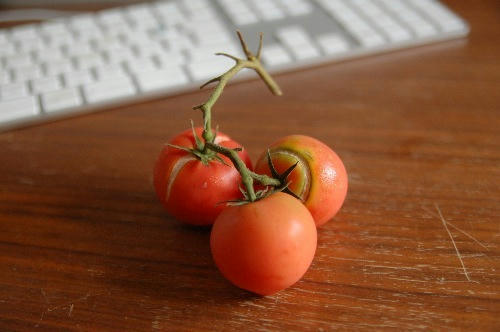 ベランダ菜園 