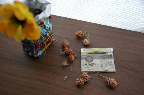 ベランダ菜園 