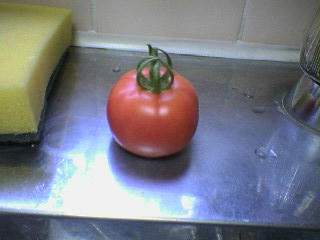 ベランダ菜園 