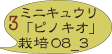 キュウリ 栽培記録 2008_3