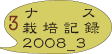 ナス 栽培記録 2008_3