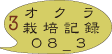 オクラ 栽培記録 2008_3