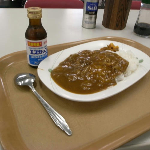 ベランダ菜園 