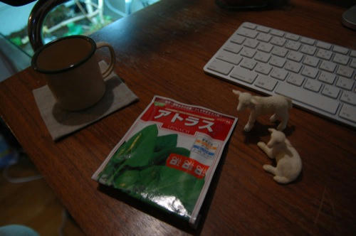 チャッピー