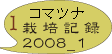 コマツナ栽培記録2008_1