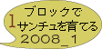 ブロックでチマサンチュを育てる2008_1