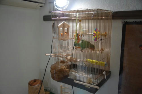 チャッピー