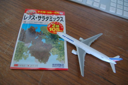 チャッピー