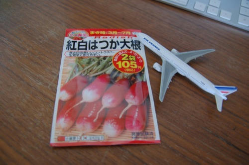 チャッピー
