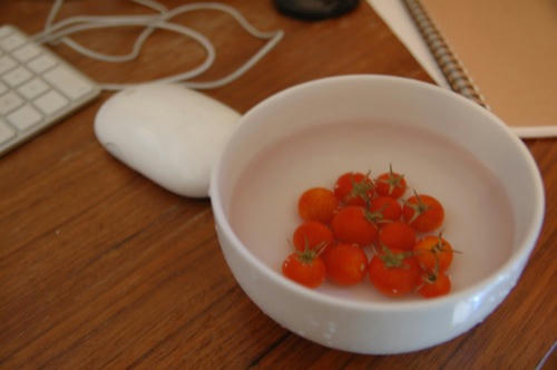 チャッピー