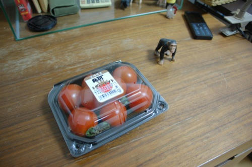 チャッピー