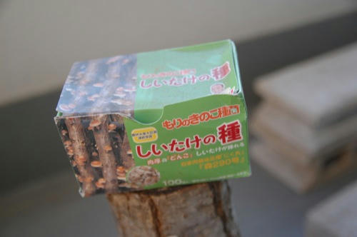 チャッピー