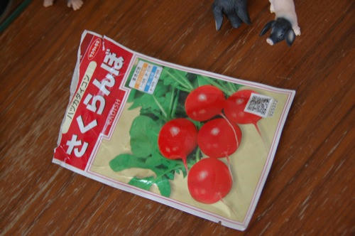 チャッピー
