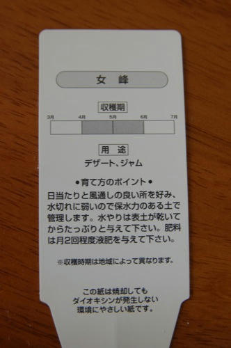 チャッピー