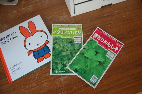 チャッピー ベランダ菜園