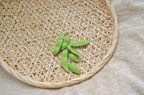 チャッピー ベランダ菜園