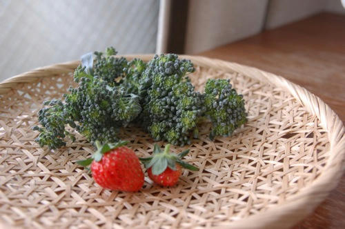 チャッピー ベランダ菜園