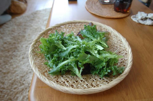 チャッピー ベランダ菜園