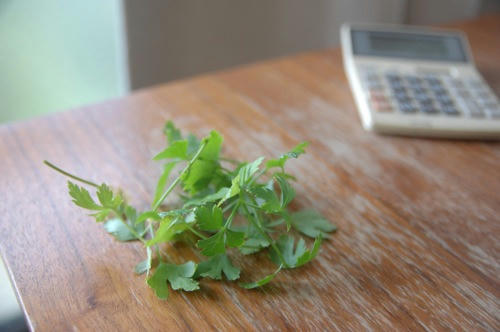 チャッピー ベランダ菜園