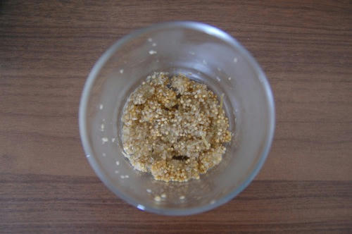 チャッピー ベランダ菜園