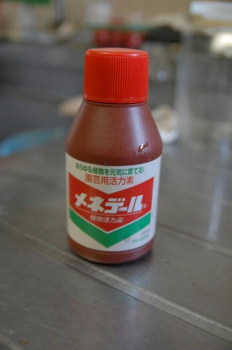 チャッピー ベランダ菜園