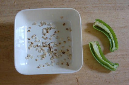 チャッピー ベランダ菜園