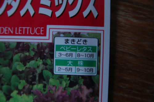 チャッピー ベランダ菜園