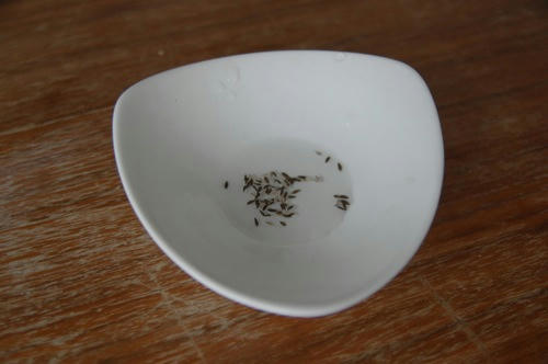 チャッピー ベランダ菜園