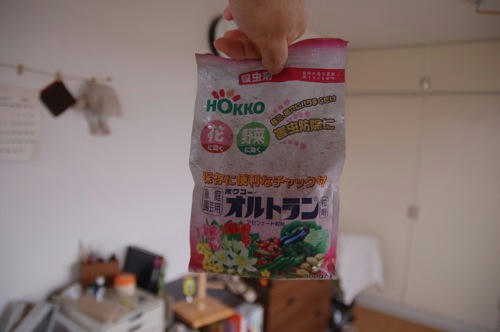 チャッピー ベランダ菜園