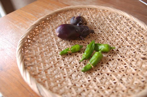 チャッピー ベランダ菜園