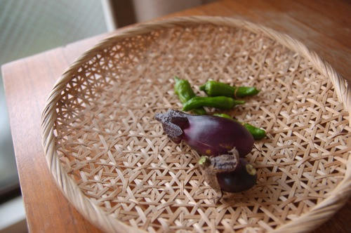 チャッピー ベランダ菜園