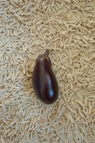 チャッピー ベランダ菜園
