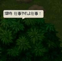 7359dbdc.jpeg