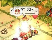 133e0566.jpeg