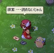 49dd3246.jpeg