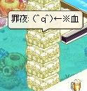295fd022.jpeg