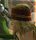 24.png