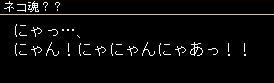 a79f6e9f.jpeg