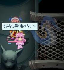 bd0ccdbd.jpeg
