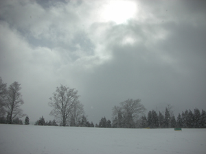 DSCN1429.jpg