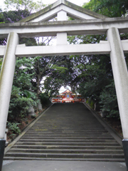 DSCN0128.jpg