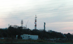 mitotower.jpg