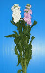 e5f8b874.jpg