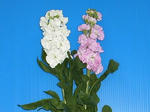 a04941c8.jpg