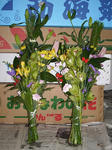 正月用墓花　1対4000円